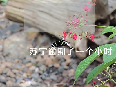 苏宁逾期了一个小时