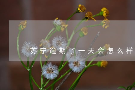 苏宁逾期了一天会怎么样 苏宁逾期了一天会怎么样