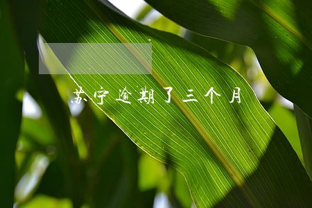 苏宁逾期了三个月 苏宁逾期了三个月
