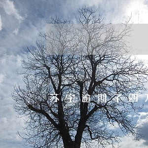 苏宁逾期了四万多 苏宁逾期了四万多