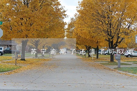 苏宁逾期了还清了可以再用吗 苏宁逾期了还清了可以再用吗