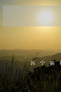 苏宁逾期五天说发律师函 苏宁逾期五天说发律师函