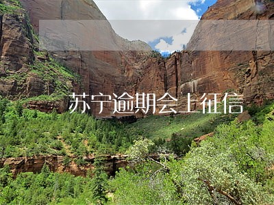 苏宁逾期会上征信 苏宁逾期会上征信