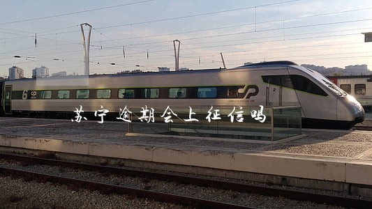 苏宁逾期会上征信吗 苏宁逾期会上征信吗