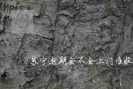 苏宁逾期会不会上门催收 苏宁逾期会不会上门催收