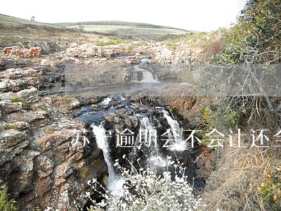苏宁逾期会不会让还全款 苏宁逾期会不会让还全款