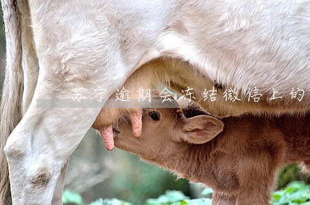 苏宁逾期会冻结微信上的钱吗 苏宁逾期会冻结微信上的钱吗