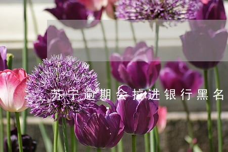 苏宁逾期会拉进银行黑名单吗 苏宁逾期会拉进银行黑名单吗