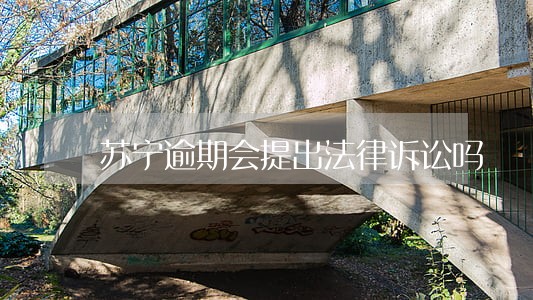 苏宁逾期会提出法律诉讼吗 苏宁逾期会提出法律诉讼吗