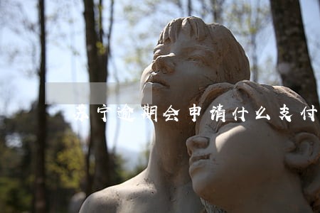 苏宁逾期会申请什么支付令 苏宁逾期会申请什么支付令