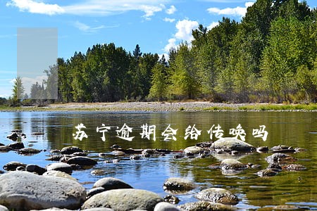 苏宁逾期会给传唤吗 苏宁逾期会给传唤吗