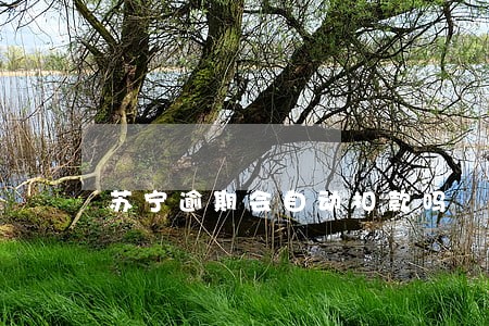 苏宁逾期会自动扣款吗 苏宁逾期会自动扣款吗