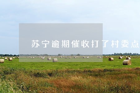 苏宁逾期催收打了村委点估计 苏宁逾期催收打了村委点估计