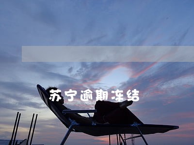 苏宁逾期冻结 苏宁逾期冻结