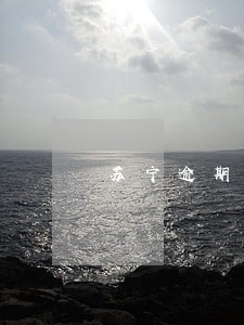 苏宁逾期冻结怎么解冻 苏宁逾期冻结怎么解冻