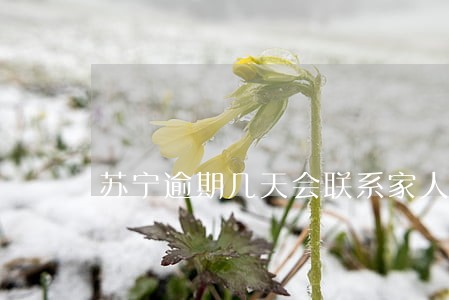 苏宁逾期几天会联系家人 苏宁逾期几天会联系家人