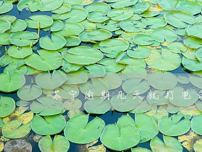 苏宁逾期几天就打电话了 苏宁逾期几天就打电话了