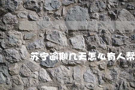 苏宁逾期几天怎么有人帮还了 苏宁逾期几天怎么有人帮还了