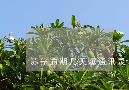 苏宁逾期几天爆通讯录 苏宁逾期几天爆通讯录