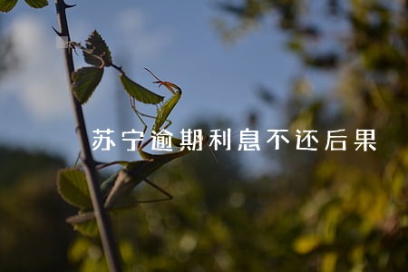 苏宁逾期利息不还后果 苏宁逾期利息不还后果