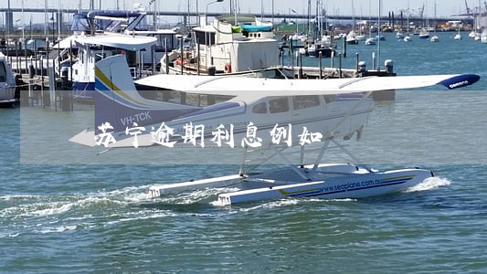 苏宁逾期利息例如 苏宁逾期利息例如