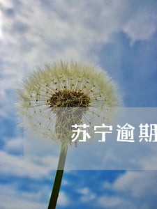 苏宁逾期十几天 苏宁逾期十几天