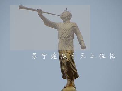 苏宁逾期十天上征信 苏宁逾期十天上征信