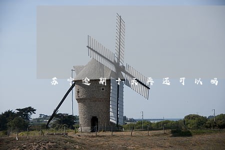 苏宁逾期十天再还可以吗 苏宁逾期十天再还可以吗