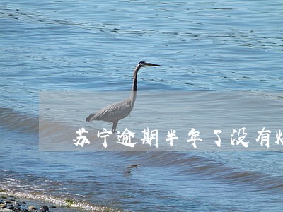 苏宁逾期半年了没有爆通讯录 苏宁逾期半年了没有爆通讯录