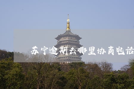 苏宁逾期去哪里协商电话 苏宁逾期去哪里协商电话