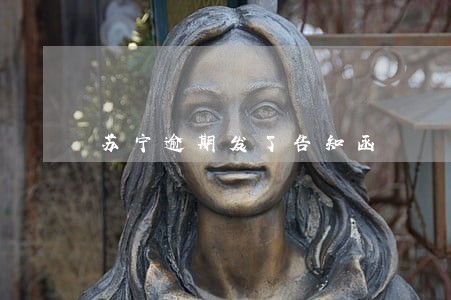 苏宁逾期发了告知函 苏宁逾期发了告知函