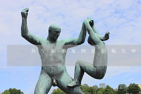 苏宁逾期发的征信报告申报联 苏宁逾期发的征信报告申报联