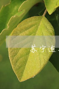 苏宁逾期发短信给朋友 苏宁逾期发短信给朋友