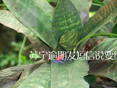 苏宁逾期发短信说要给所有联系人 苏宁逾期发短信说要给所有联系人