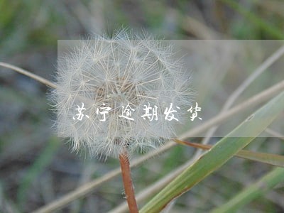 苏宁逾期发货 苏宁逾期发货