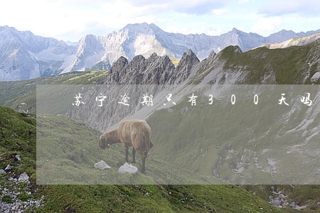 苏宁逾期只有300天吗 苏宁逾期只有300天吗