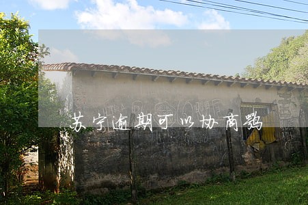 苏宁逾期可以协商嘛