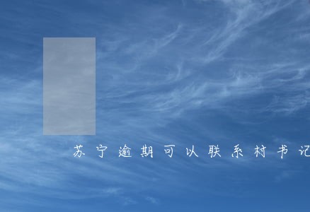 苏宁逾期可以联系村书记
