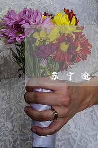苏宁逾期可以重新分期吗 苏宁逾期可以重新分期吗