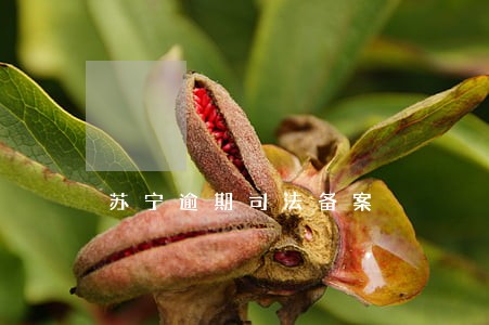 苏宁逾期司法备案 苏宁逾期司法备案