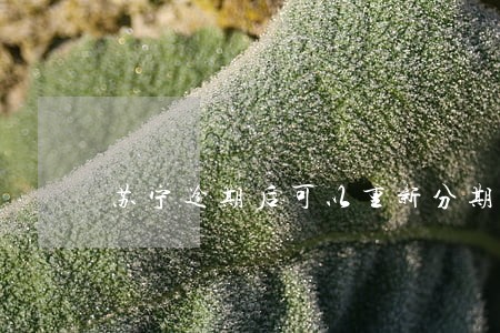 苏宁逾期后可以重新分期吗 苏宁逾期后可以重新分期吗