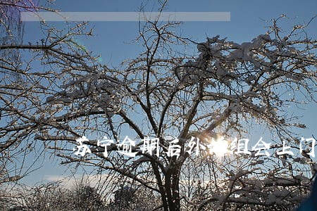 苏宁逾期后外访组会上门吗 苏宁逾期后外访组会上门吗