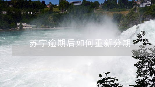 苏宁逾期后如何重新分期 苏宁逾期后如何重新分期