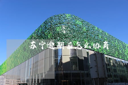 苏宁逾期后怎么协商 苏宁逾期后怎么协商