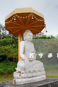 苏宁逾期后果 苏宁逾期后果