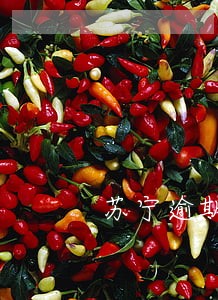 苏宁逾期后说要仲裁真的吗