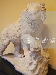 苏宁逾期后说要发律师函件 苏宁逾期后说要发律师函件