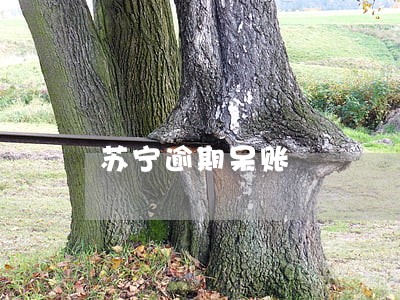 苏宁逾期呆账 苏宁逾期呆账