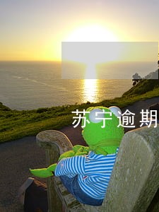 苏宁逾期告知书 苏宁逾期告知书