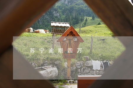 苏宁逾期四万 苏宁逾期四万